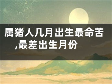 属猪人几月出生最命苦,最差出生月份 