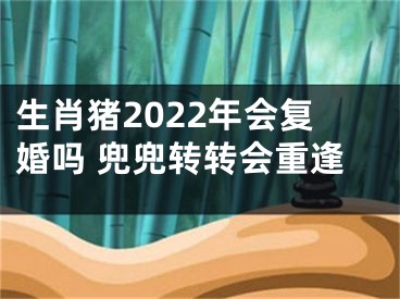 生肖猪2022年会复婚吗 兜兜转转会重逢