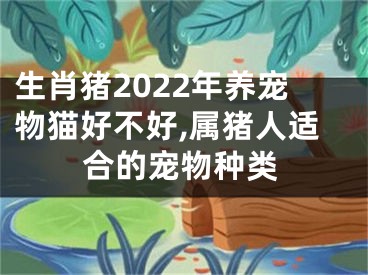 生肖猪2022年养宠物猫好不好,属猪人适合的宠物种类