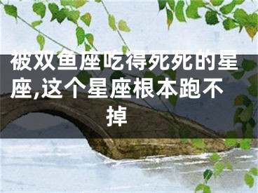 被双鱼座吃得死死的星座,这个星座根本跑不掉 