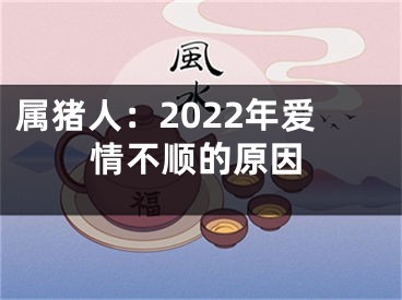 属猪人：2022年爱情不顺的原因