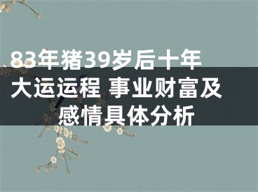 83年猪39岁后十年大运运程 事业财富及感情具体分析