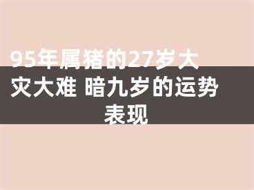 95年属猪的27岁大灾大难 暗九岁的运势表现