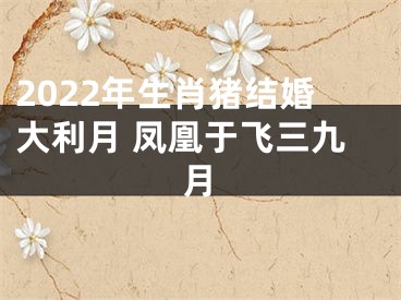 2022年生肖猪结婚大利月 凤凰于飞三九月