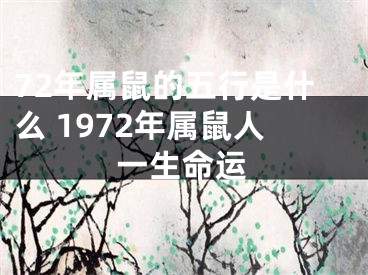 72年属鼠的五行是什么 1972年属鼠人一生命运