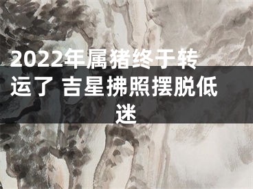 2022年属猪终于转运了 吉星拂照摆脱低迷