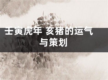 壬寅虎年 亥猪的运气与策划