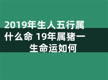 2019年生人五行属什么命 19年属猪一生命运如何