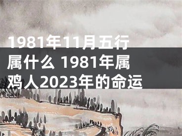 1981年11月五行属什么 1981年属鸡人2023年的命运