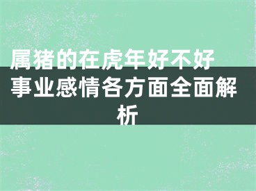 属猪的在虎年好不好 事业感情各方面全面解析