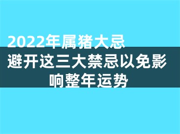 2022年属猪大忌 避开这三大禁忌以免影响整年运势