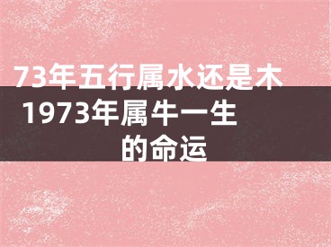 73年五行属水还是木 1973年属牛一生的命运