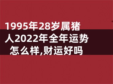 1995年28岁属猪人2022年全年运势怎么样,财运好吗 