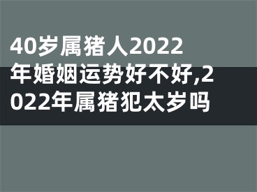 40岁属猪人2022年婚姻运势好不好,2022年属猪犯太岁吗 