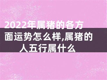 2022年属猪的各方面运势怎么样,属猪的人五行属什么 