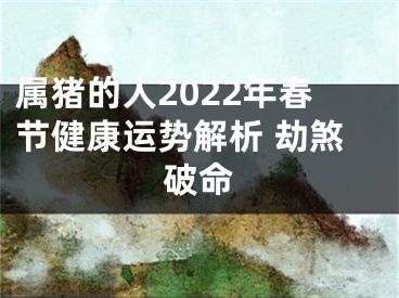 属猪的人2022年春节健康运势解析 劫煞破命