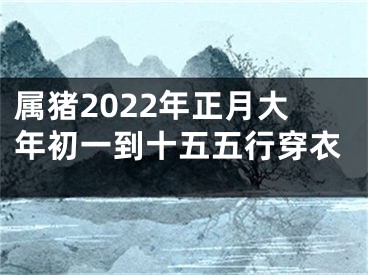 属猪2022年正月大年初一到十五五行穿衣