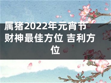 属猪2022年元宵节财神最佳方位 吉利方位