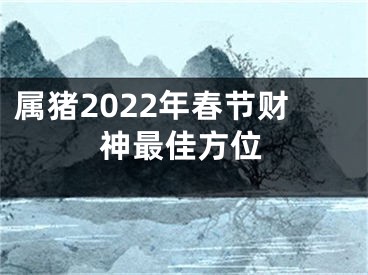 属猪2022年春节财神最佳方位