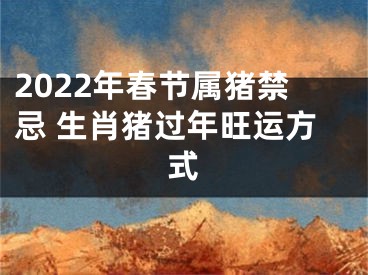 2022年春节属猪禁忌 生肖猪过年旺运方式