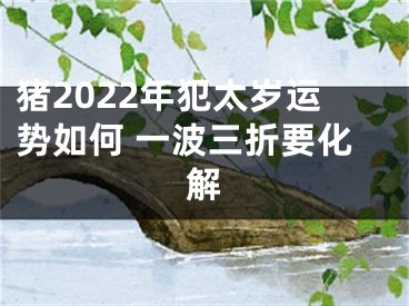 猪2022年犯太岁运势如何 一波三折要化解