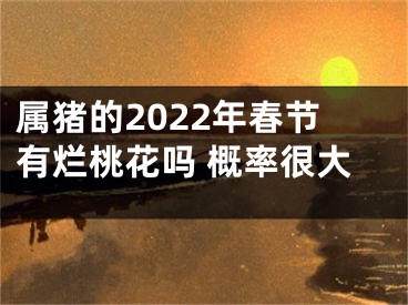 属猪的2022年春节有烂桃花吗 概率很大