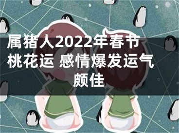 属猪人2022年春节桃花运 感情爆发运气颇佳