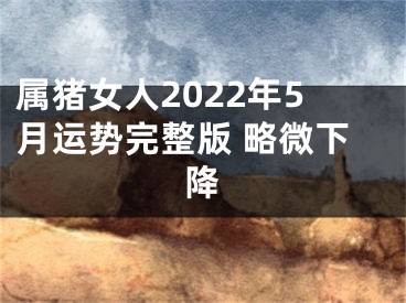 属猪女人2022年5月运势完整版 略微下降