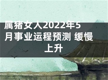 属猪女人2022年5月事业运程预测 缓慢上升