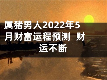 属猪男人2022年5月财富运程预测  财运不断