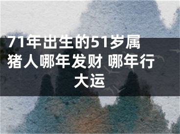 71年出生的51岁属猪人哪年发财 哪年行大运