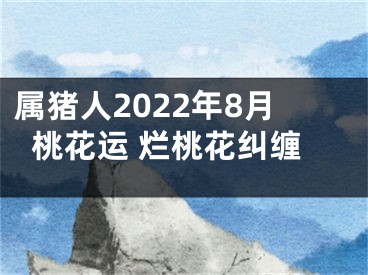 属猪人2022年8月桃花运 烂桃花纠缠