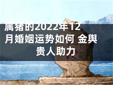 属猪的2022年12月婚姻运势如何 金舆贵人助力