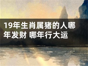 19年生肖属猪的人哪年发财 哪年行大运　