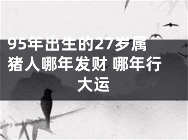 95年出生的27岁属猪人哪年发财 哪年行大运