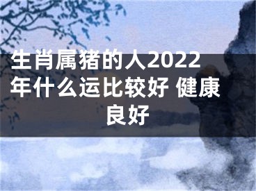 生肖属猪的人2022年什么运比较好 健康良好