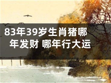 83年39岁生肖猪哪年发财 哪年行大运