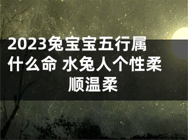 2023兔宝宝五行属什么命 水兔人个性柔顺温柔