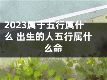 2023属于五行属什么 出生的人五行属什么命