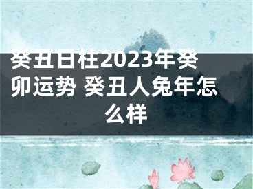 癸丑日柱2023年癸卯运势 癸丑人兔年怎么样