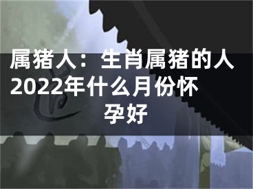 属猪人：生肖属猪的人2022年什么月份怀孕好