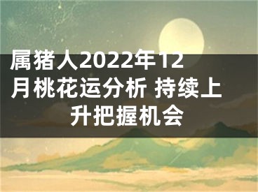 属猪人2022年12月桃花运分析 持续上升把握机会