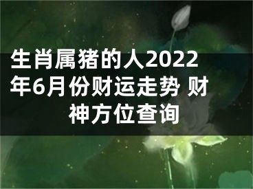 生肖属猪的人2022年6月份财运走势 财神方位查询