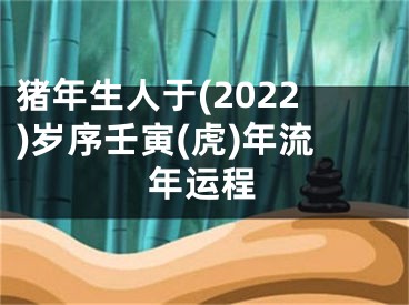 猪年生人于(2022)岁序壬寅(虎)年流年运程