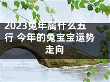 2023兔年属什么五行 今年的兔宝宝运势走向