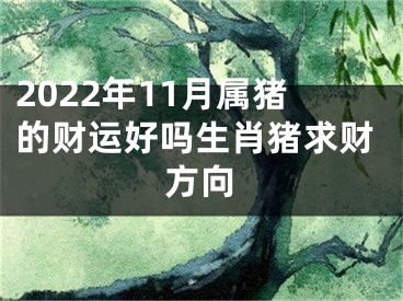 2022年11月属猪的财运好吗生肖猪求财方向