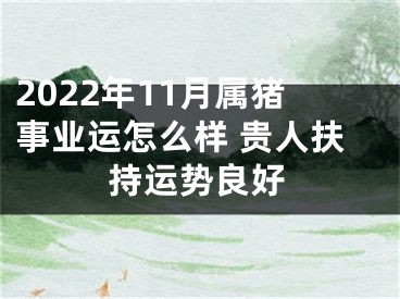 2022年11月属猪事业运怎么样 贵人扶持运势良好