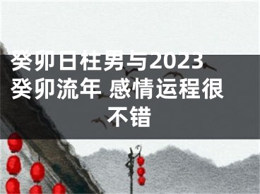 癸卯日柱男与2023癸卯流年 感情运程很不错