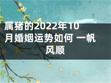 属猪的2022年10月婚姻运势如何 一帆风顺