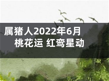 属猪人2022年6月桃花运 红鸾星动